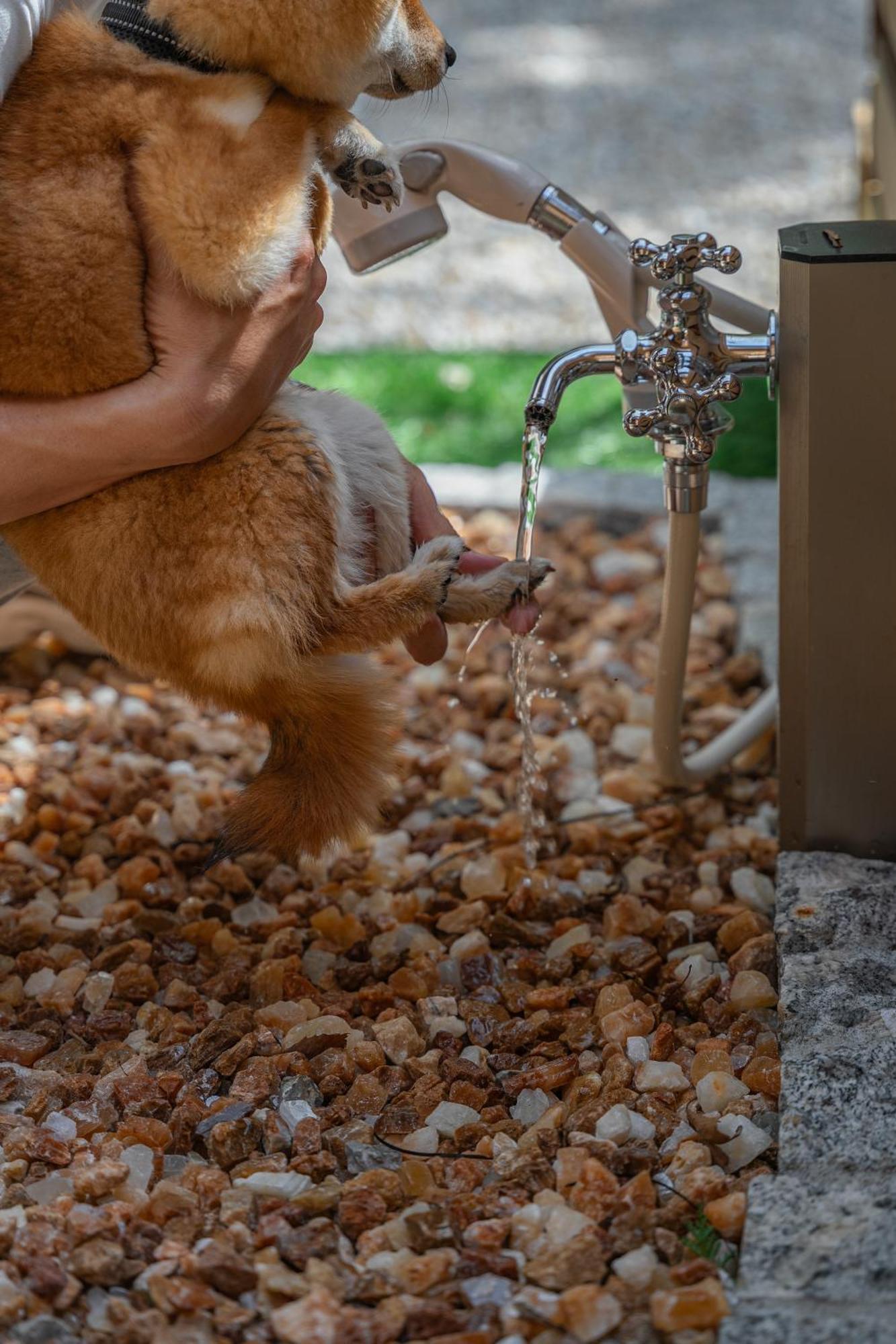 プライベートリゾート犬の日 Hakone