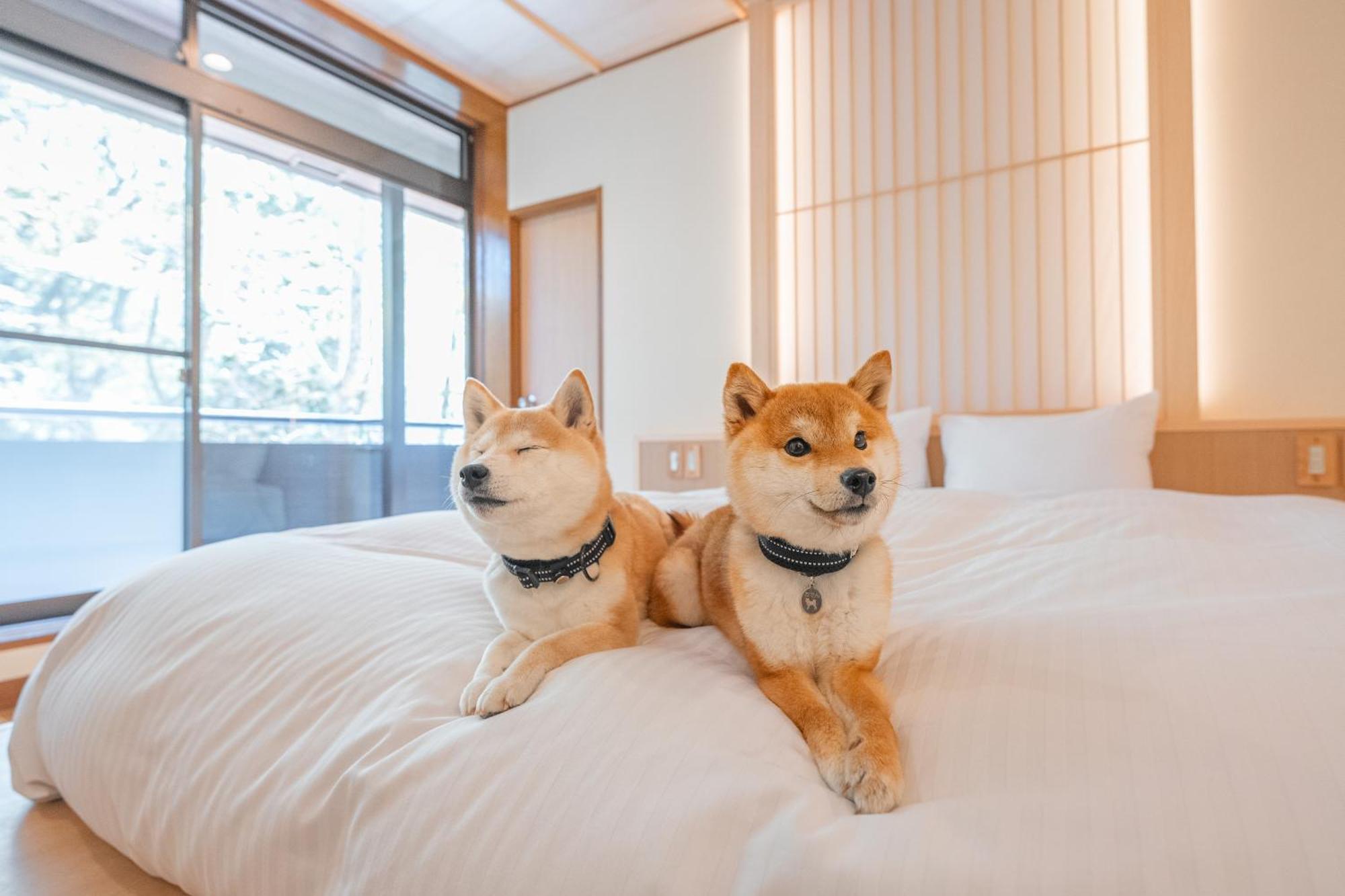 プライベートリゾート犬の日 Hakone