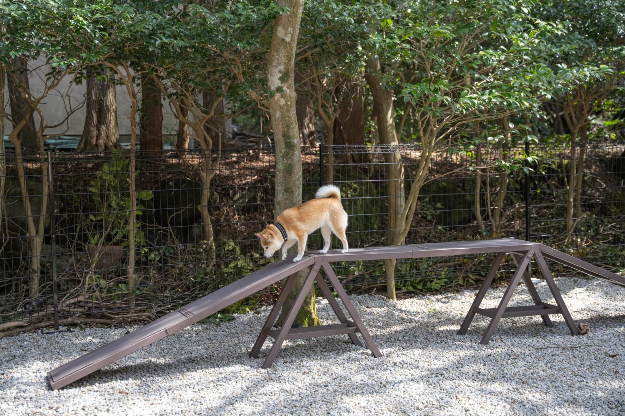 プライベートリゾート犬の日